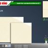 Gạch 80x80 TOKO PHÙ ĐỔNG 832002