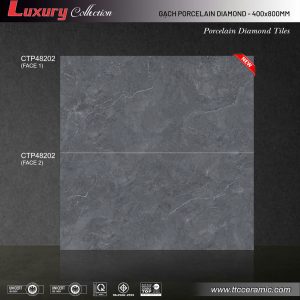 Gạch 40x80 TTC viova CTP48202