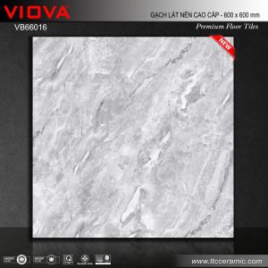 Gạch 60x60 ttc viova VB66016