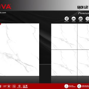 Gạch 60x60 ttc viova VB66018