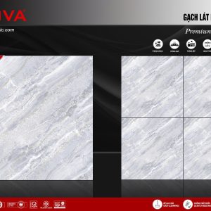 Gạch 60x60 ttc viova VB66019