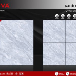 Gạch 60x60 ttc viova VB66024