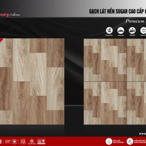 Gạch 60x60 ttc viova SG66002