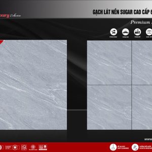 Gạch 60x60 ttc viova SG66005