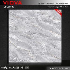 Gạch 60x60 ttc viova VSG66005