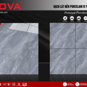 Gạch 60x60 ttc viova VN66060
