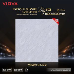 Gạch 1000x1000 TTC VIOVA VN10004