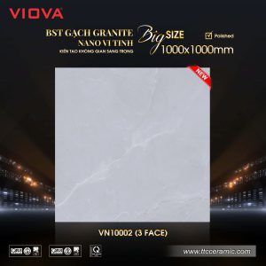Gạch 1000x1000 TTC VIOVA VN10002