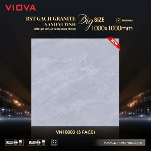 Gạch 1000x1000 TTC VIOVA VN10003