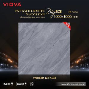 Gạch 1000x1000 TTC VIOVA VN10006