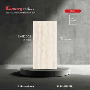 Gạch 60x120 ttc viova EX612002