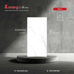 Gạch 60x120 ttc viova EX612001