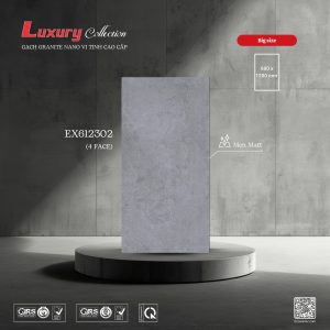 Gạch 60x120 ttc viova EX612302