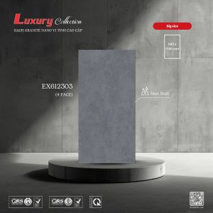 Gạch 60x120 ttc viova EX612303