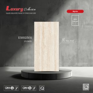 Gạch 60x120 ttc viova EX612305