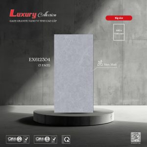 Gạch 60x120 ttc viova EX612304