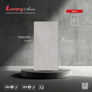 Gạch 60x120 ttc viova EX612301